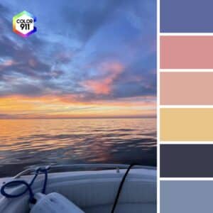 Color 911 - Color Palette From Photos 4. It turns out Color Specialist Amy Wax is the genius behind that amazing tool so we decided we had to interview her. This week we lister to Amy’s account of her journey from being Illustrator to renowned Color Consultant to Art & Design App Developer.